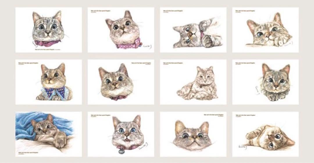 ポストカード 猫 ハガキ 絵葉書 手紙 28枚セット レトロ