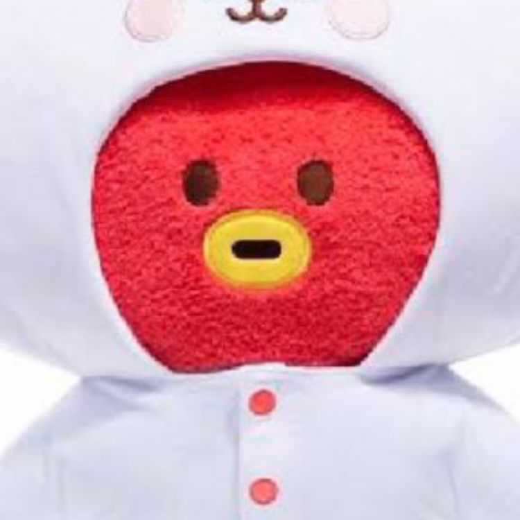 即納&大特価】 BT21 ロンパーススタイル たっとん TATA ぬいぐるみ