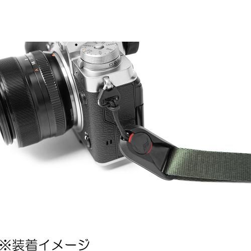 リーシュ セージ