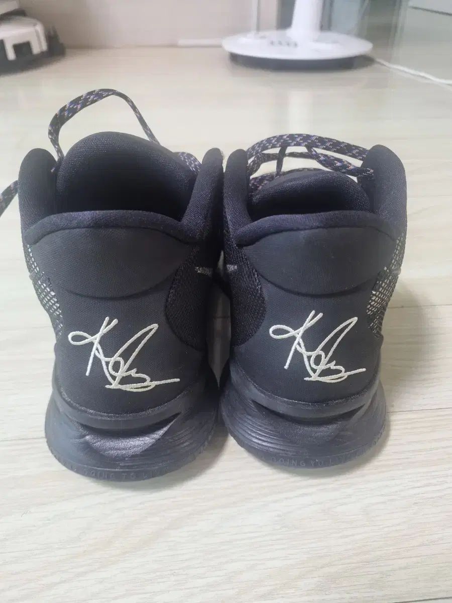 カイリー バスケットシューズ