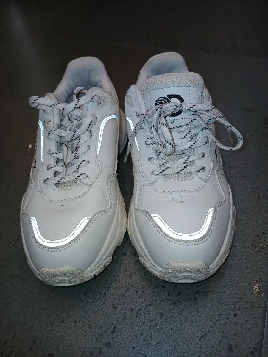 BAYLINER AJ アジングロッド BL-6427T AJ BAYLINER AJ アジングロッド BL-6427T AJ｜