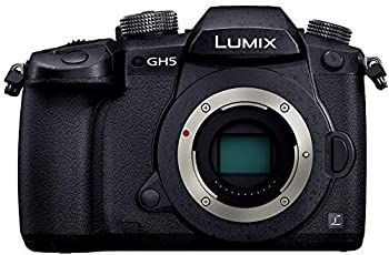 中古】 パナソニック ミラーレス一眼カメラ ルミックス GH5 ボディ  
