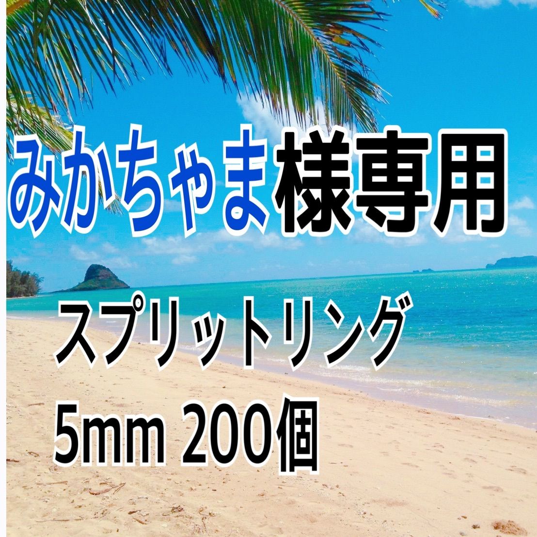 みかちゃま様専用】スプリットリング 5mm 200個 - こさずフィッシング