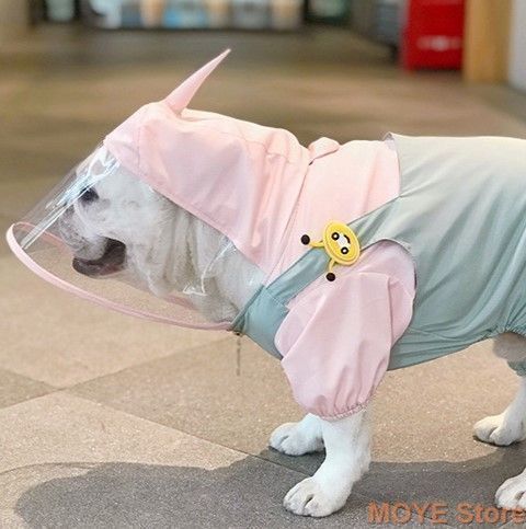 お出かけ お散歩