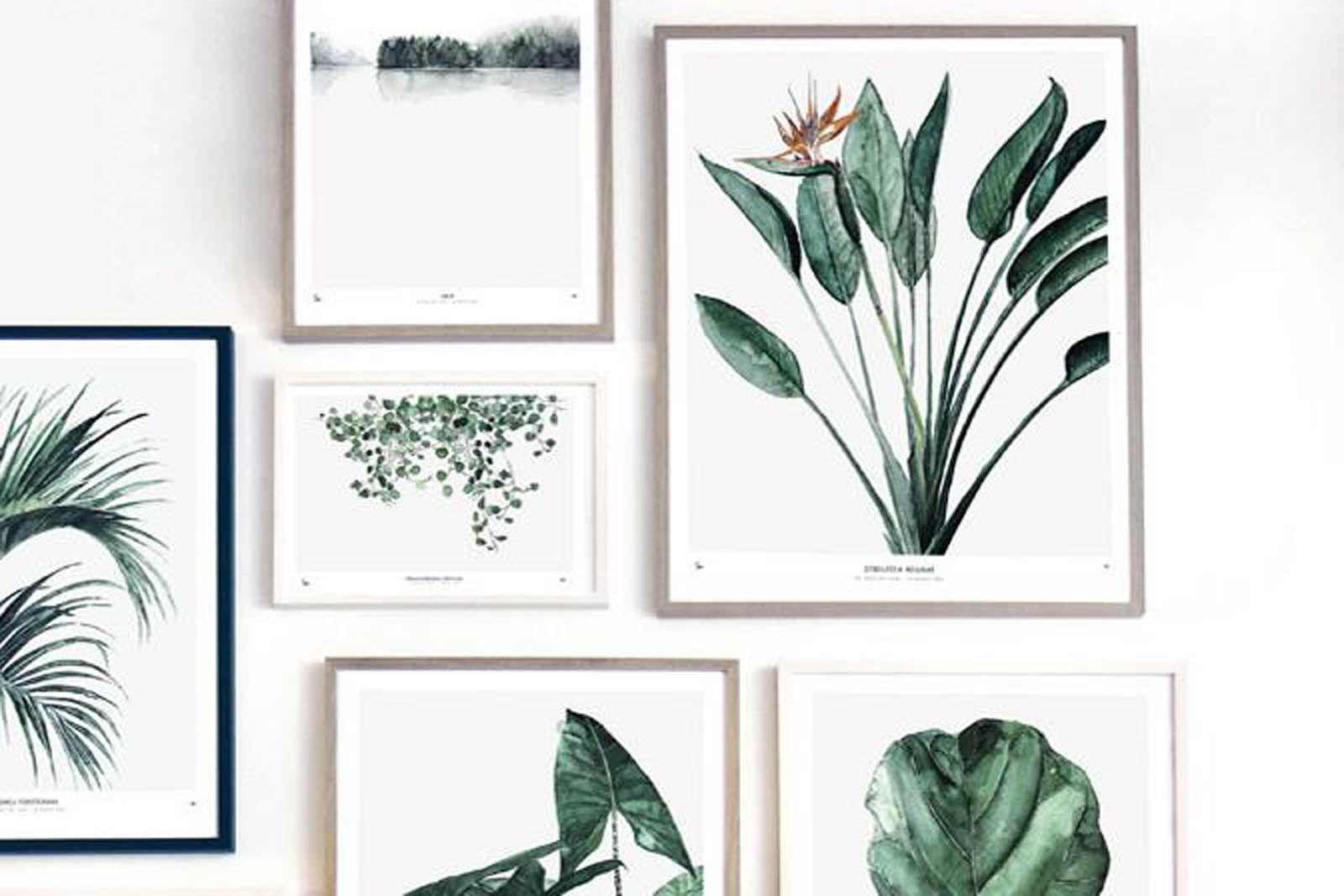【在庫限り】【再入荷なし】My Deer Art Shop アートポスター 30&times;40cm BOTANICS / Strelitzia 北欧雑貨/51xMDAS127-30x40