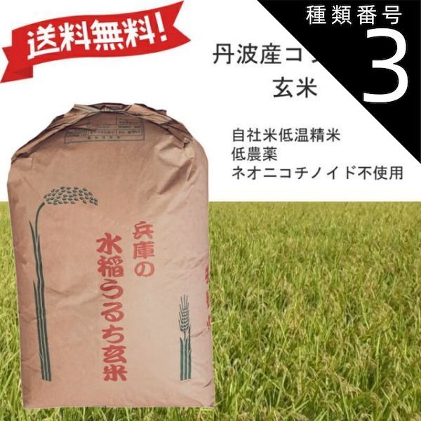 食品 体は食と運動でコントロール 7年産コシヒカリ 玄米10kg 化学農薬不