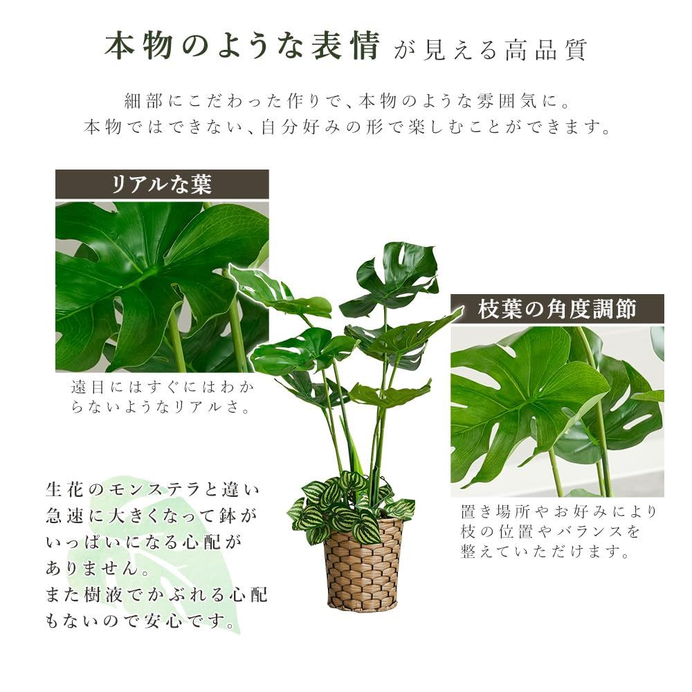 おしゃれ フェイク