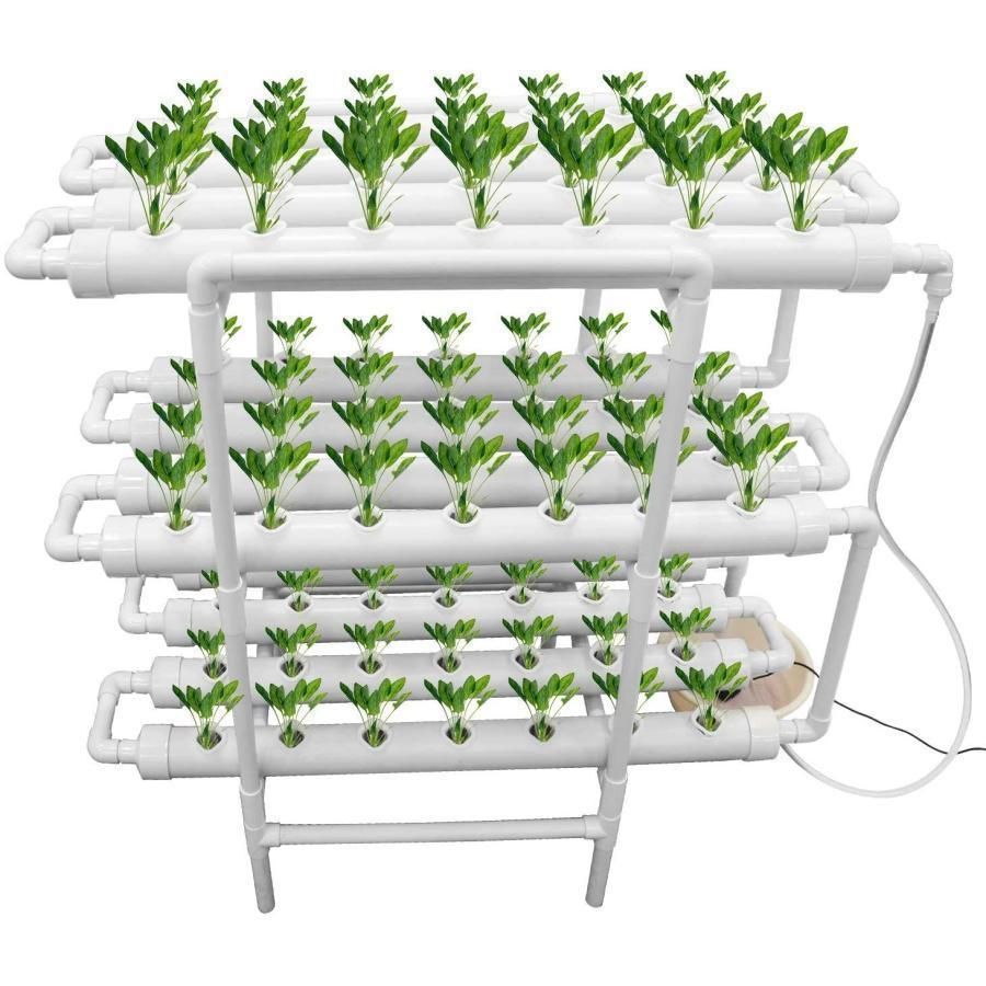 水耕栽培キット 水耕栽培 植物 野菜用具 植物育成 家庭菜園 室内 ベランダ 水耕栽培セット