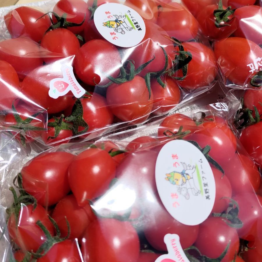 ミニトマト、アイコ、ベリー　約800ｇ-1