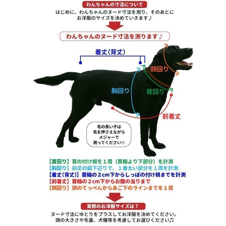 大型犬 レインウェア