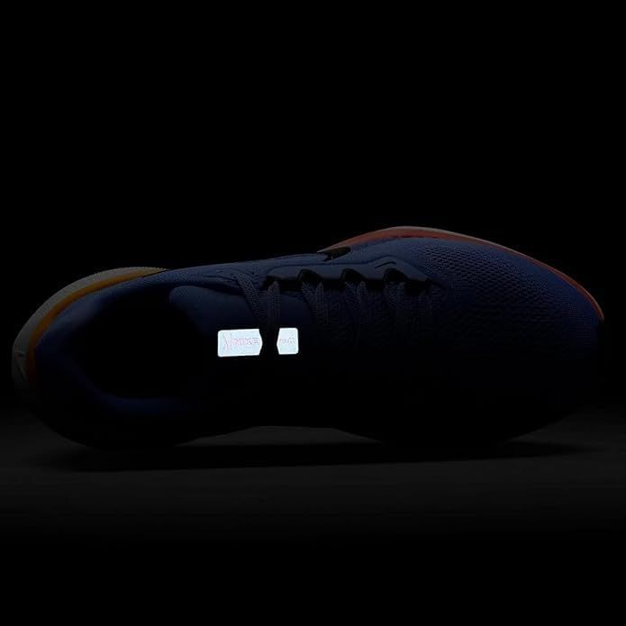  ナイキ ペガサス 41 W Pegasus ロイヤルパルス アストロノミーブルー レーザーオレンジ ブラック FD 2723-402 24.5 cm モカシン 靴