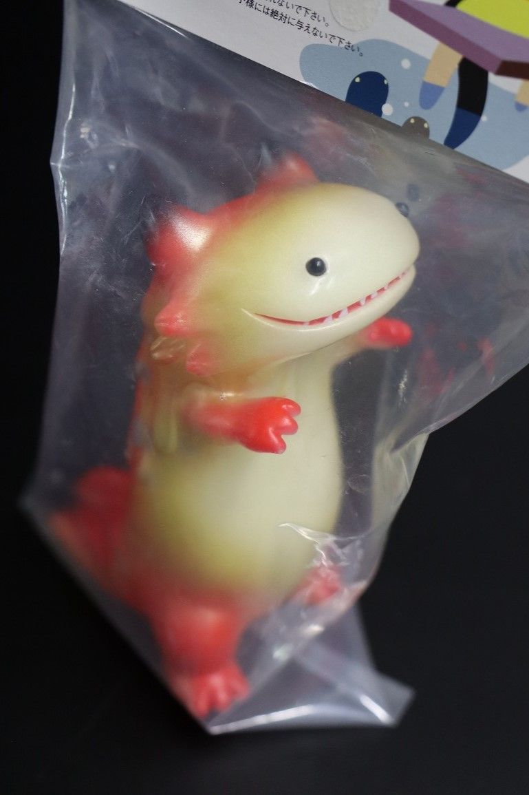 蓄光