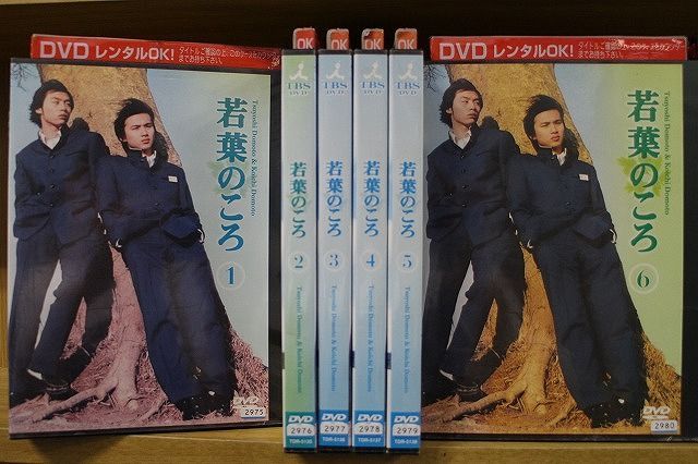 DVD 若葉のころ 全6巻 ※ケース無し発送 レンタル落ち ZKK259 - ギフト