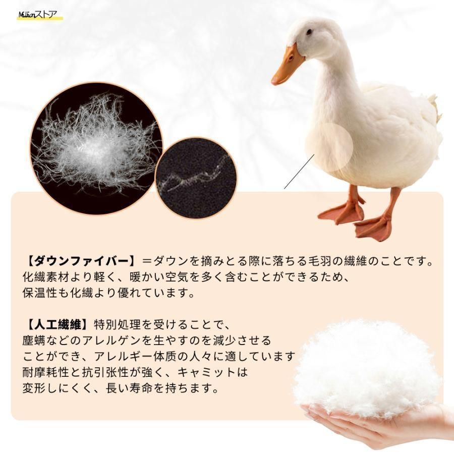 冬