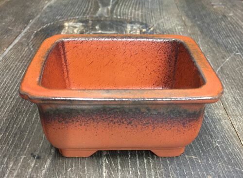 文山 3.5号4点セット 朱泥窯変 さつき鉢 箱入 和風 植木鉢