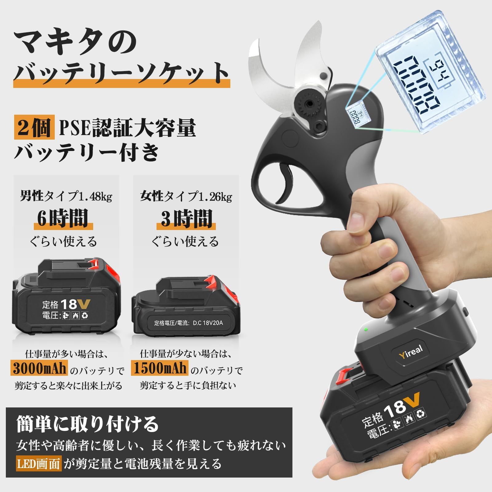 2025年新モデル