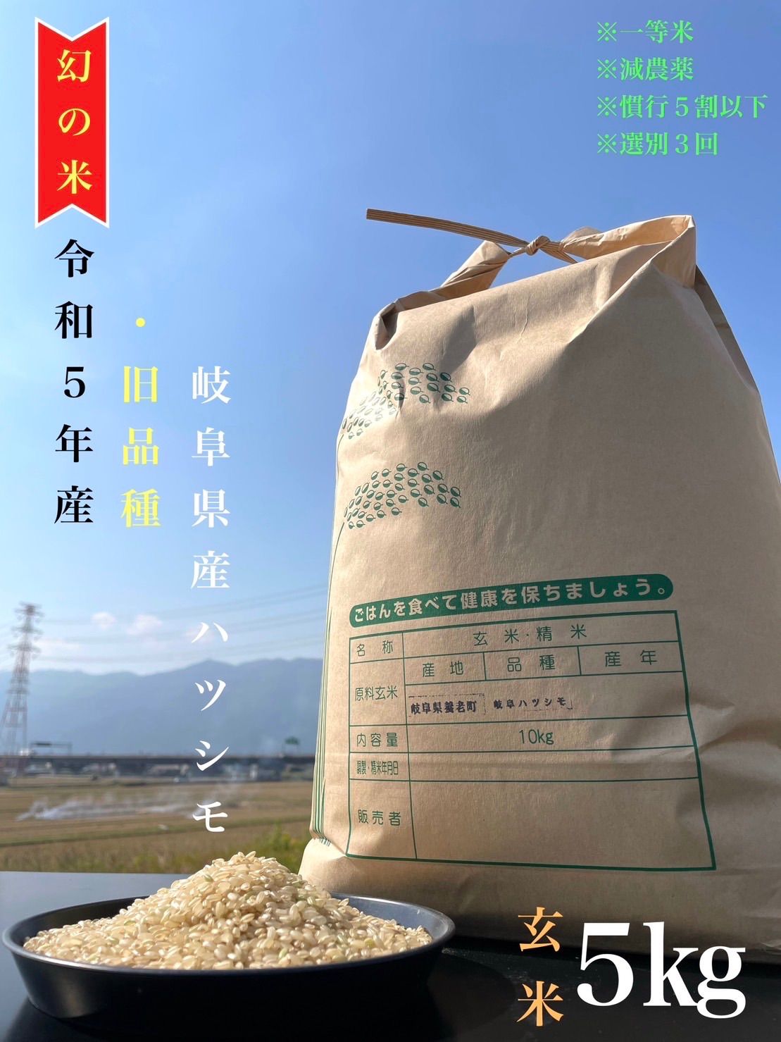 ブランド米 令和５年度『岐阜ハツシモ』新米 玄米(精米も可) 30kg 送料