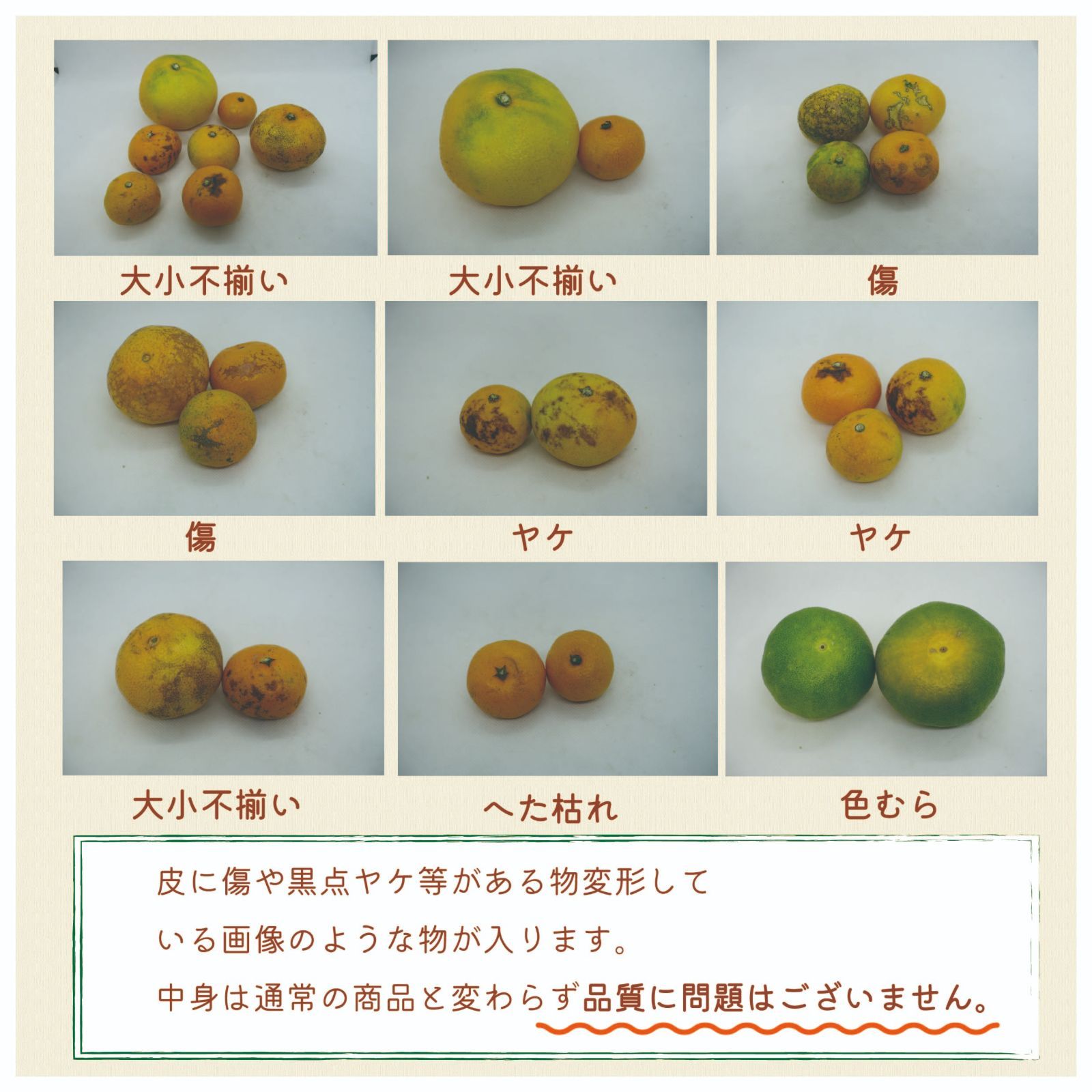 【超お買い得】愛媛県産　訳あり旬の柑橘詰め合わせ５ｋｇ補償有-2