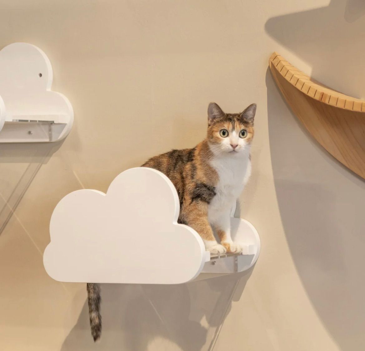 MYZOO マイズー モク MOKU 透明キャットステップ キャットステップ おしゃれ 猫 インスタ映え クリア 猫用家具 下から肉球 キャットウォーク