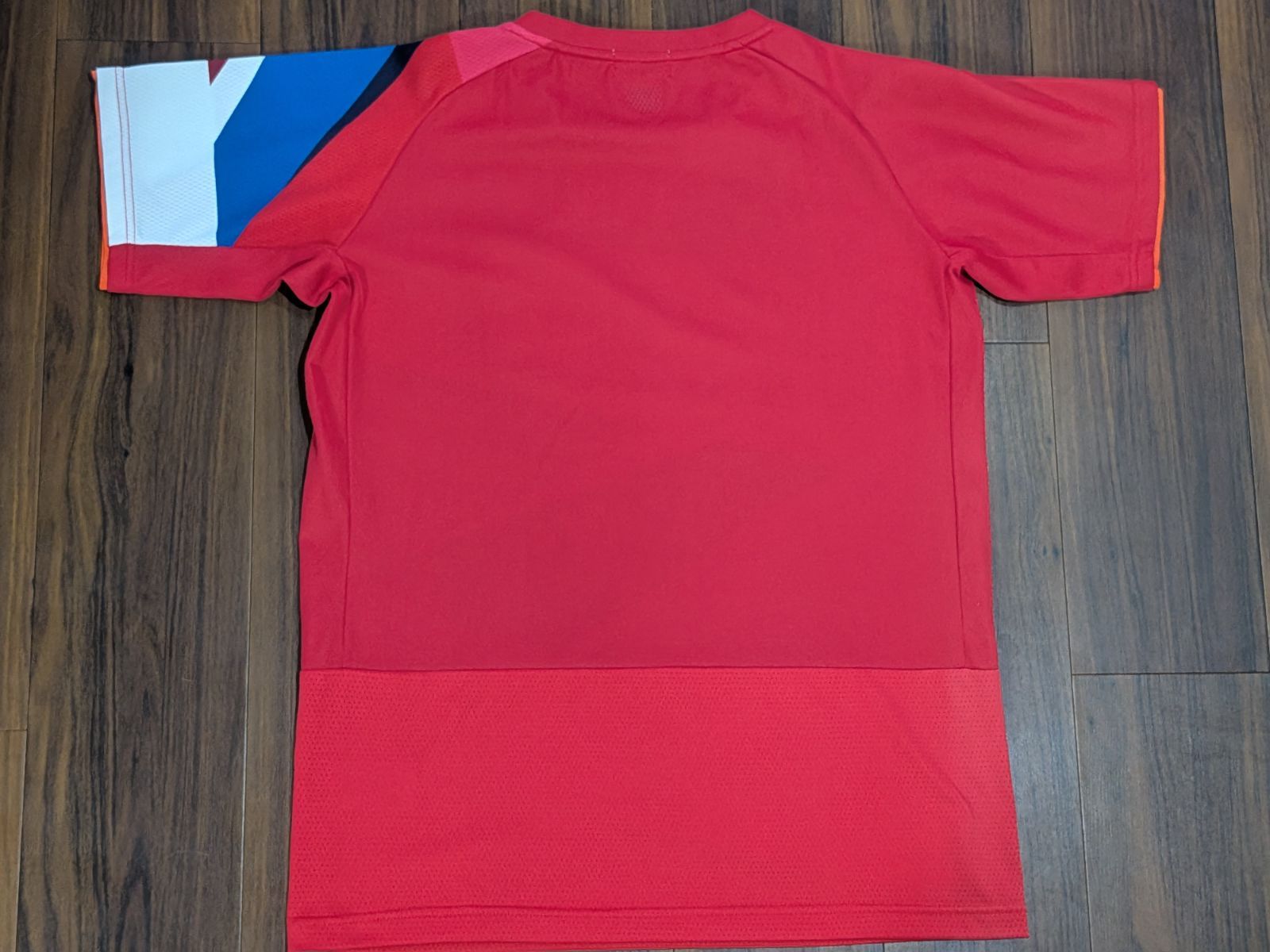 バドミントン 美品 YONEX ヨネックス 2019 日本代表モデル