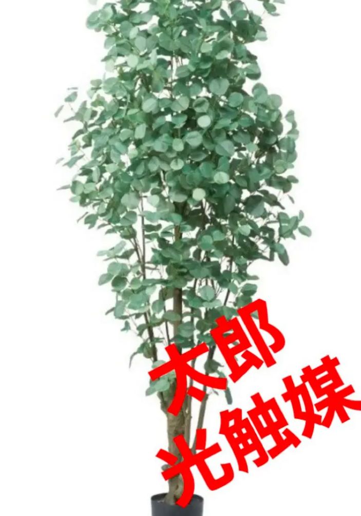 光触媒 人工観葉植物 ウォールグリーン フェイクグリーン ユーカリ225