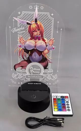 家電サプライ 来海志乃羽 bunny Acryl×luminarie はにかみ 彼女は恋をするオンリーショップ2