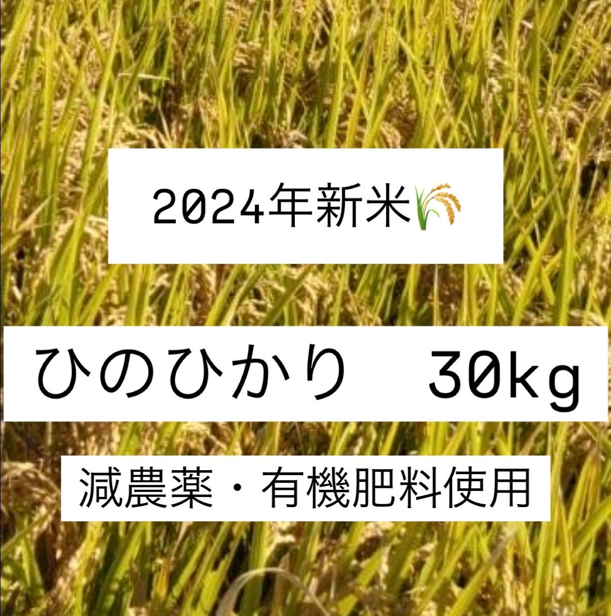 有機肥料使用 減農薬 ヒノヒカリ 2024年新米 30kg - メルカリ 