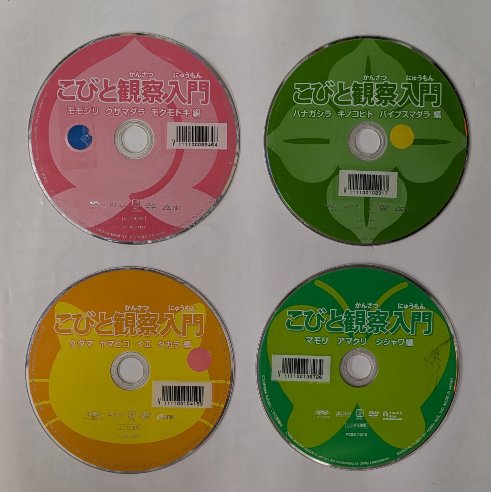 こびと観察入門 全9巻+こびと大研究 DVD 計10巻セット レンタル