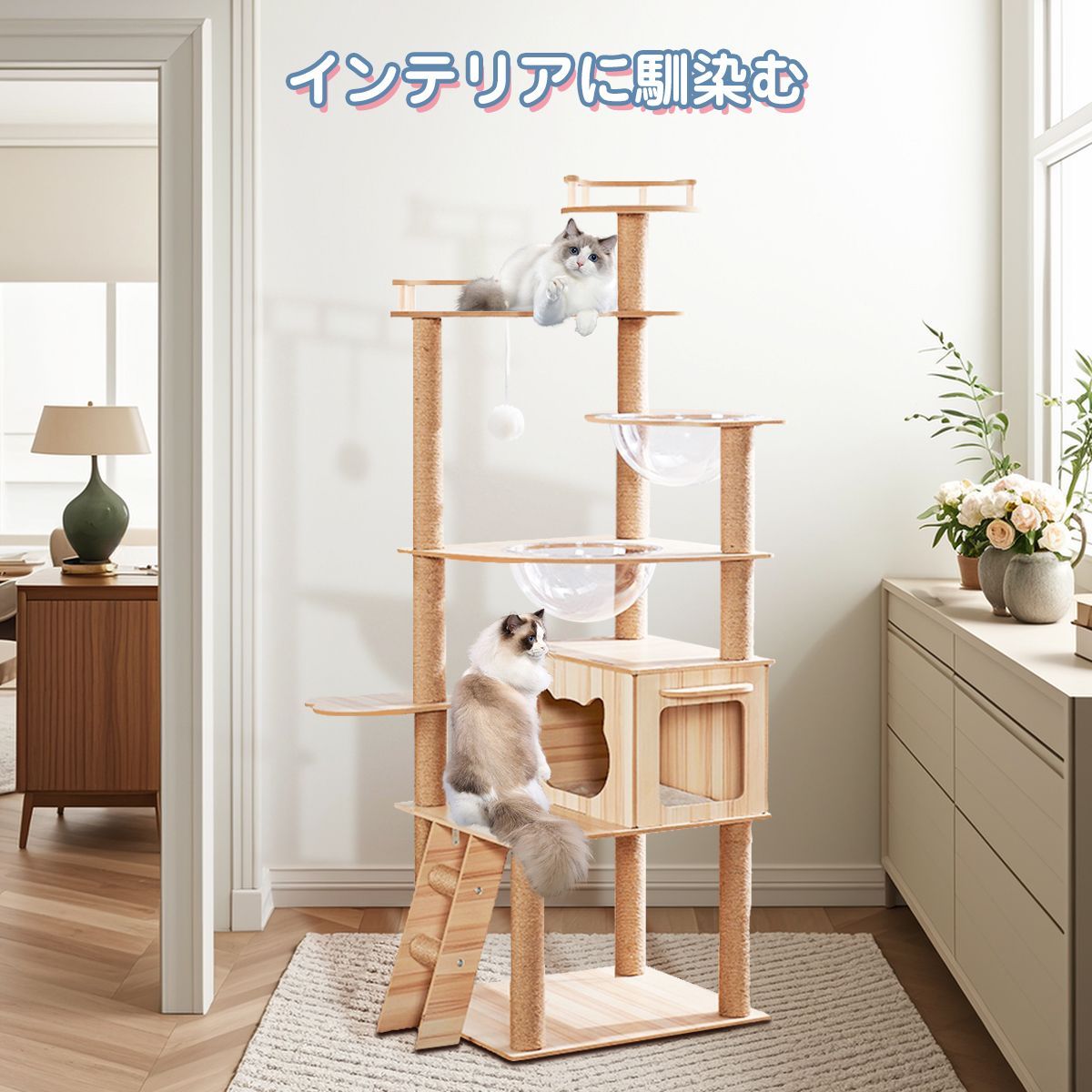 キャットタワー見晴台 透明宇宙船