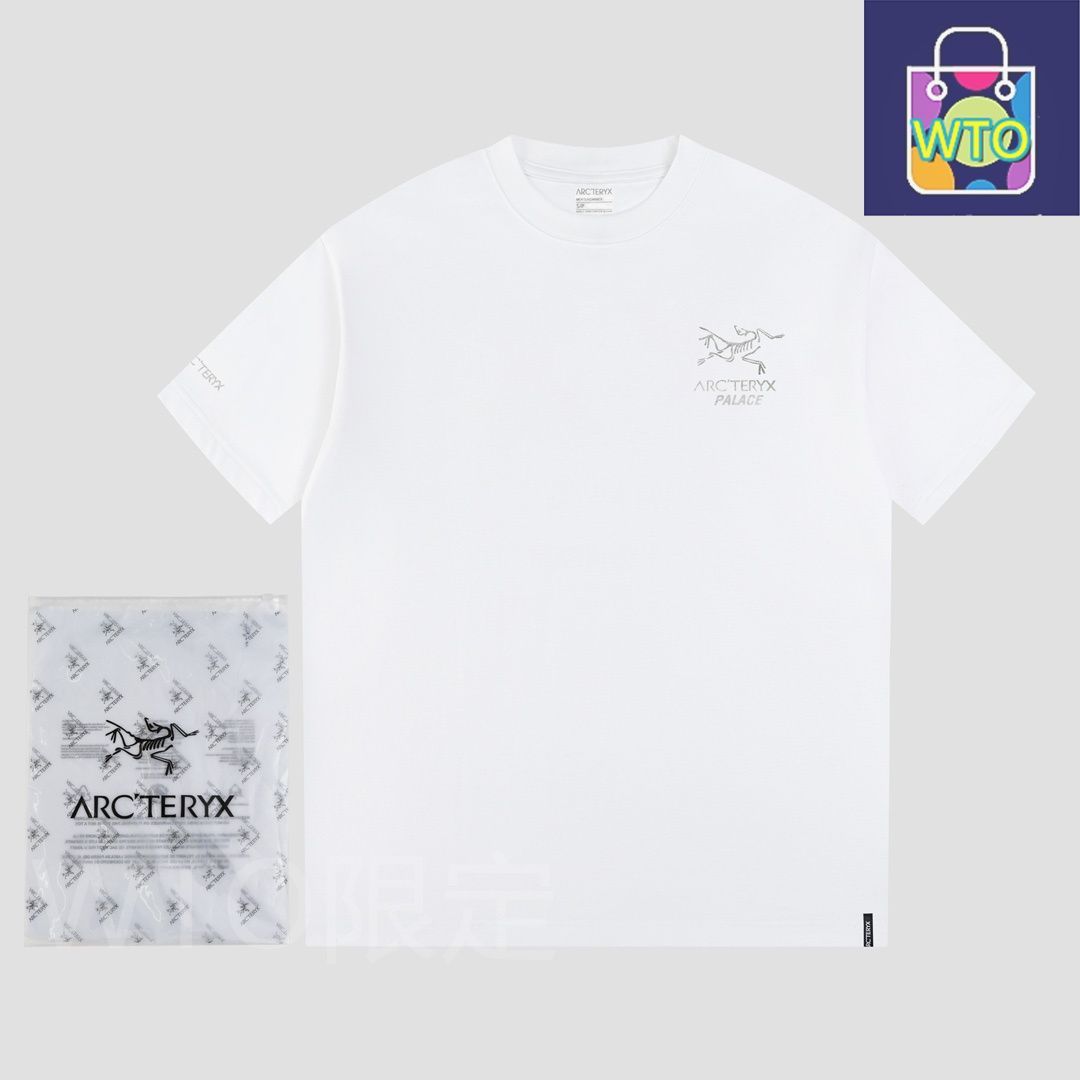 Ayc Teryx × PALACE コラボ メタリックシルバープリントTシャツ | ♥品 -WT0輸入