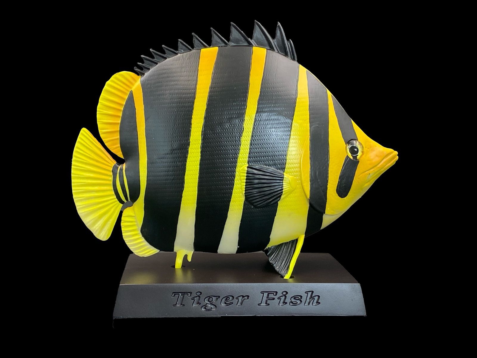 ◈ 高品質古代魚飾り