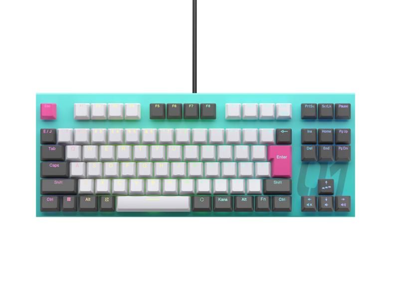 REALFORCE リアルフォース ラピッドトリガー キーボード 東プレ GX1 静音 45ｇ TKLサイズ 静電容量無接点方式 最速0.1mm作動 Windows 日本語配列 ゲーミングキー