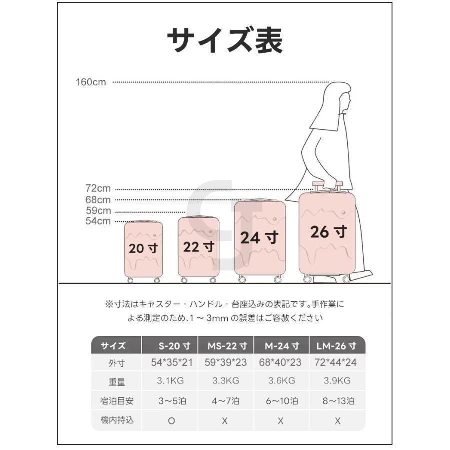 機内持ち込み