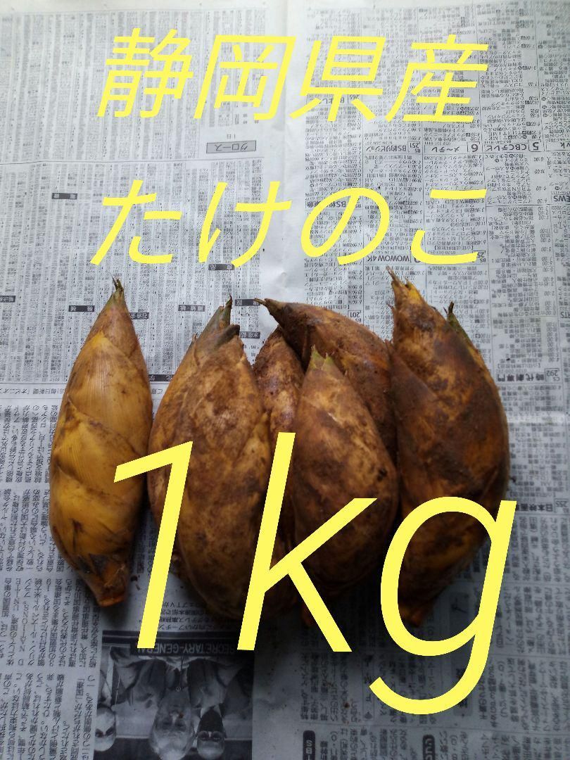 静岡県産 初物(令和6年3月)たけのこ Sサイズ 6個 1000g - メルカリ