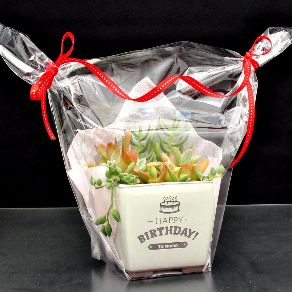 ☆名入れ☆多肉植物寄せ植え♪誕生日プレゼントに♪リメ鉢