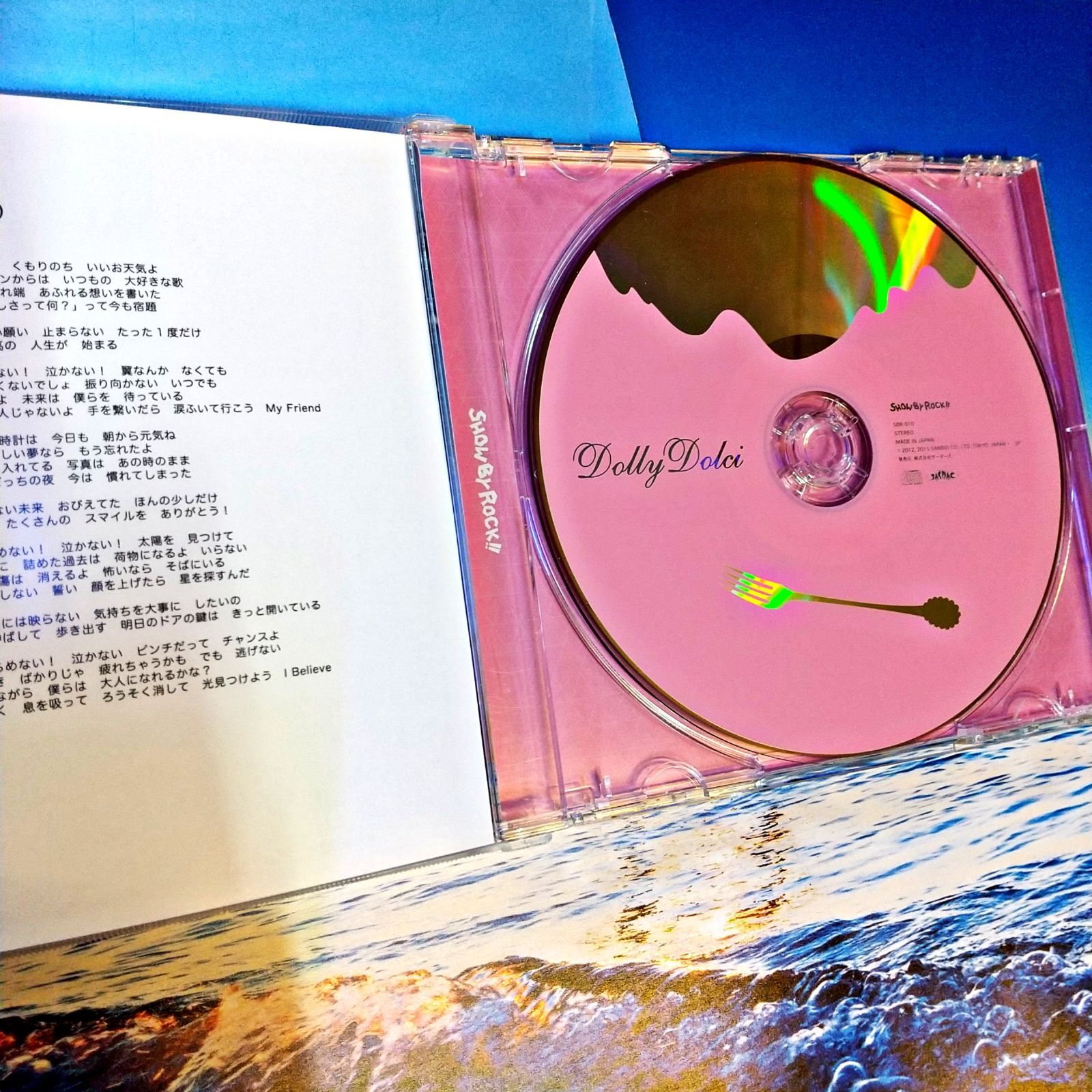 SHACHI indies rock DVDディスクのみ SHACHI indies rock DVDディスクのみ