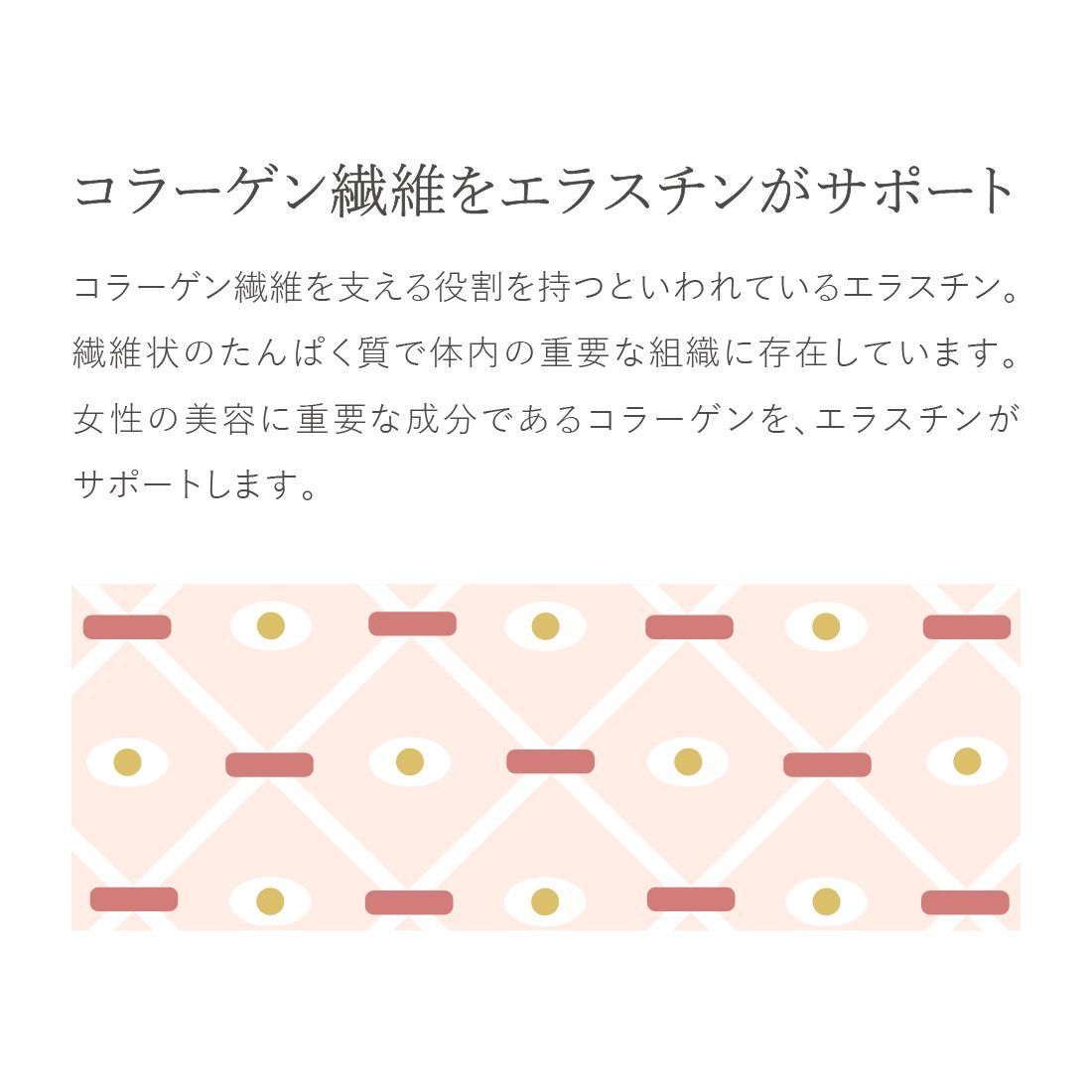 supplement 60粒入