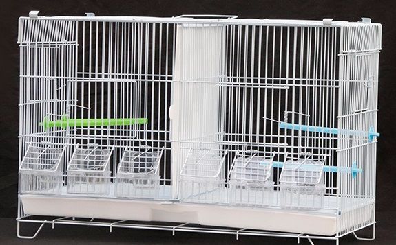 2部屋 ツイン鳥かご スクエアタイプ 鳥小屋 鳥カゴ 鳥 ゲージ ケージ