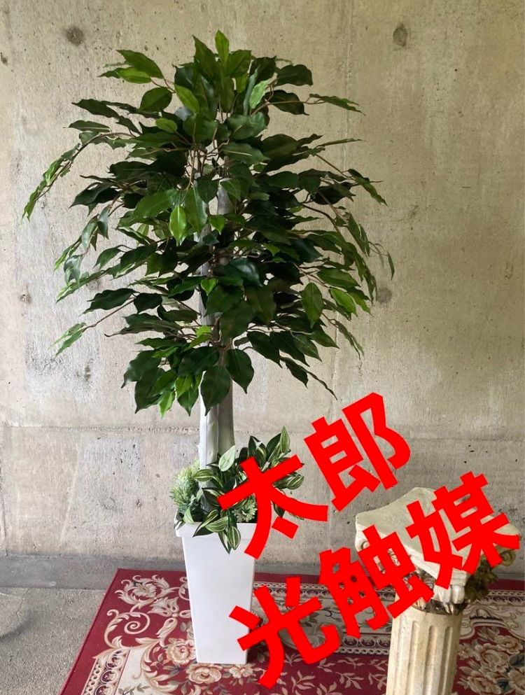 光触媒 人工観葉植物 ウォールグリーン フェイクグリーン 光触媒 人工観葉植物 ウォールグリーン フェイクグリーン