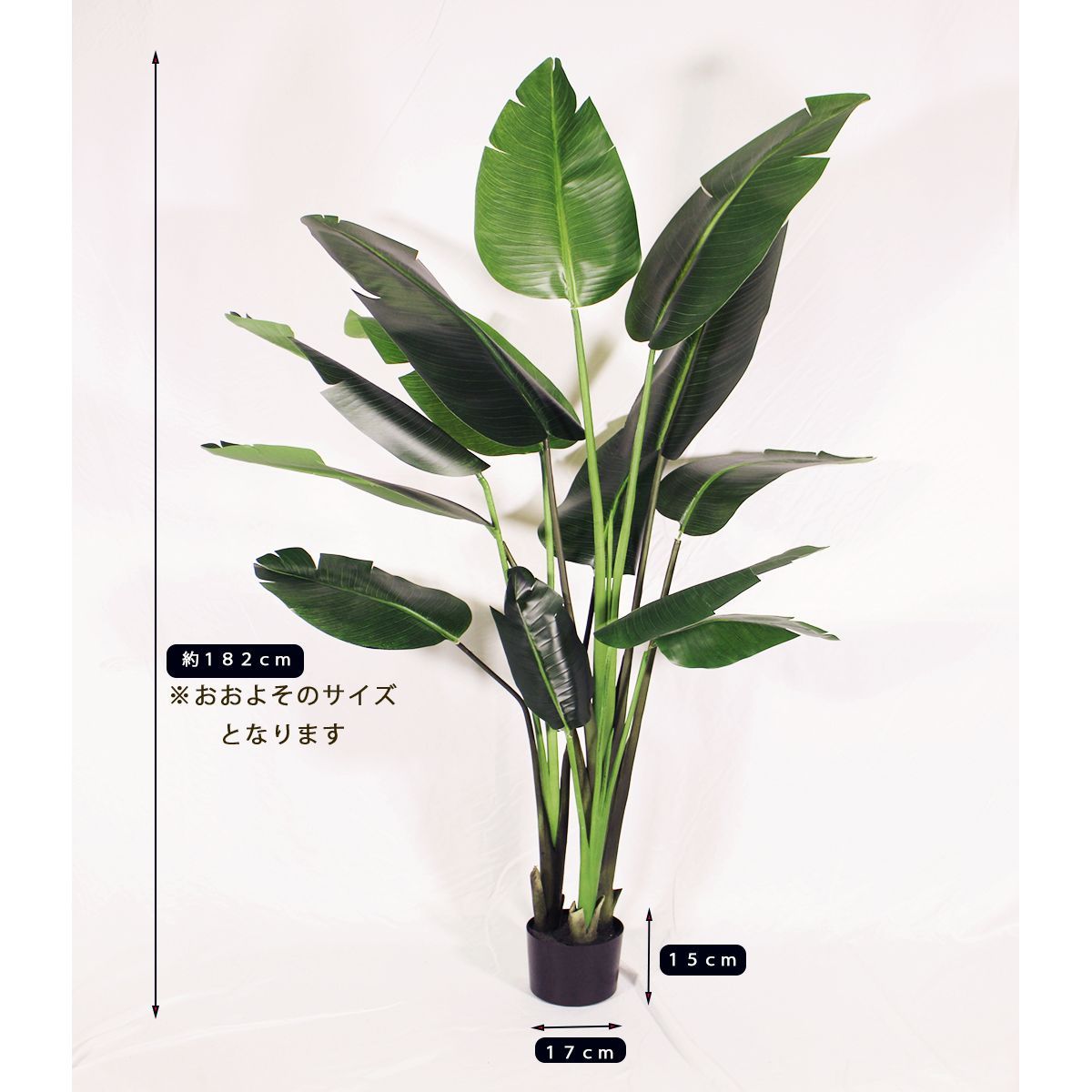 滋賀県お引き取り限定価格】【人工観葉植物】Silk-ka 滋賀県お引き取り限定価格】【人工観葉植物】Silk-ka