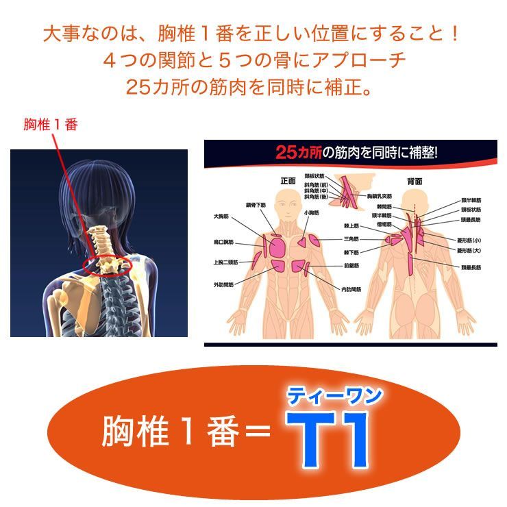 SSS 兼子ただし 完全監修 S襷 ( たすき ) Light 単品 エスたすき エスタスキ えすたすき 猫背矯正 ストレッチ 姿勢 体幹 補整 猫背  背筋 首 肩 背中 インナー 引き締め シェイパー 二の腕 姿勢サポート 矯正 テレビショッピング - メルカリ