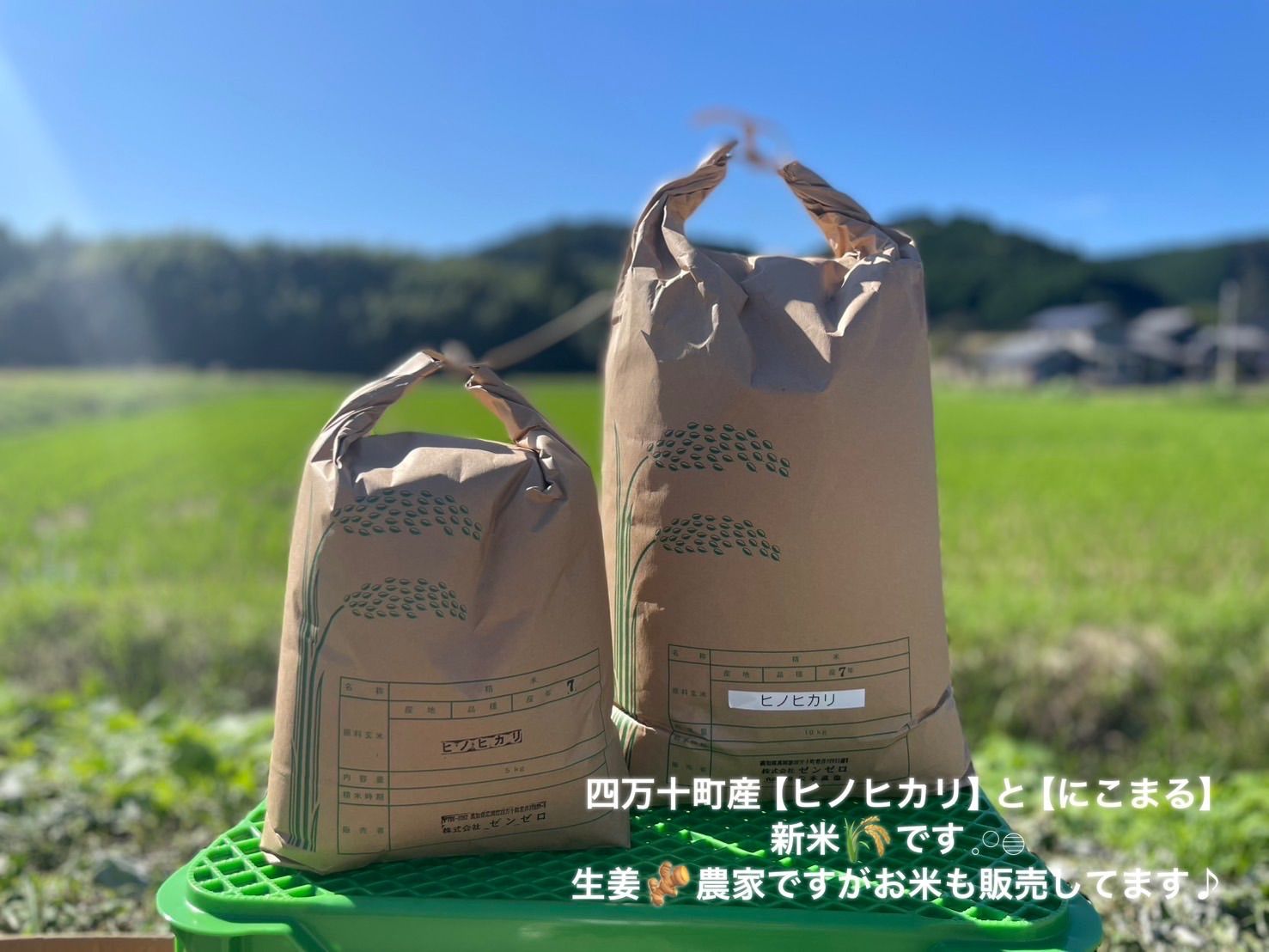 新米R7】玄米30kg 高知県四万十町産 にこまる - メルカリ