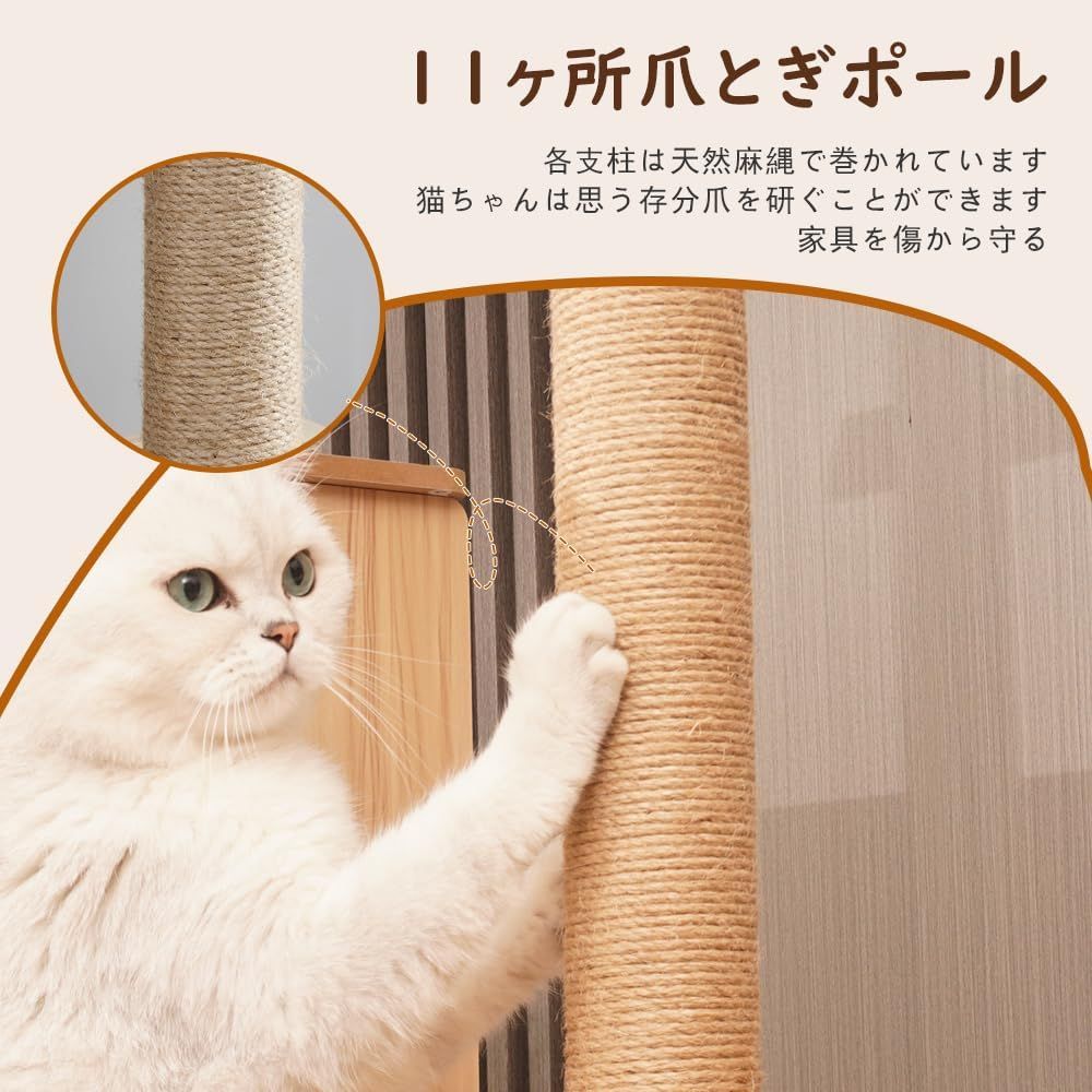 宇宙船付き 多頭飼い