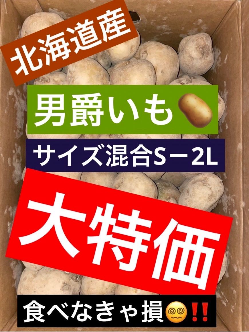 北海道 石狩産 じゃがいも Sサイズ〜2Lサイズ 混合 品種 男爵 箱込み約