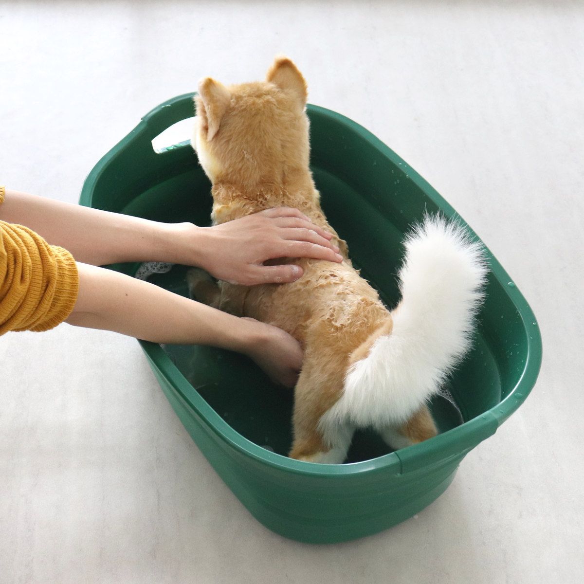 バケツ 折りたたみ 23L ソフトタブプラス 中栓付き （ 折りたたみバケツ 大容量 柔らかい 収納 持ち手 つけ置き洗い 掃除 清掃 排水栓付き 日本製 四角 ランドリーバスケット 洗い桶 洗面器 おりたたみ コンパクト スリム 洗濯 ）