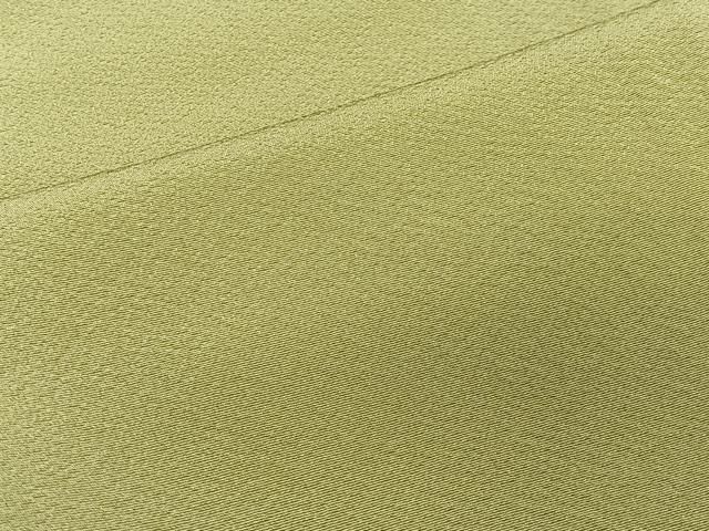 平和屋着物□上質な色無地 若菜色 正絹 逸品 CAAS7972ua