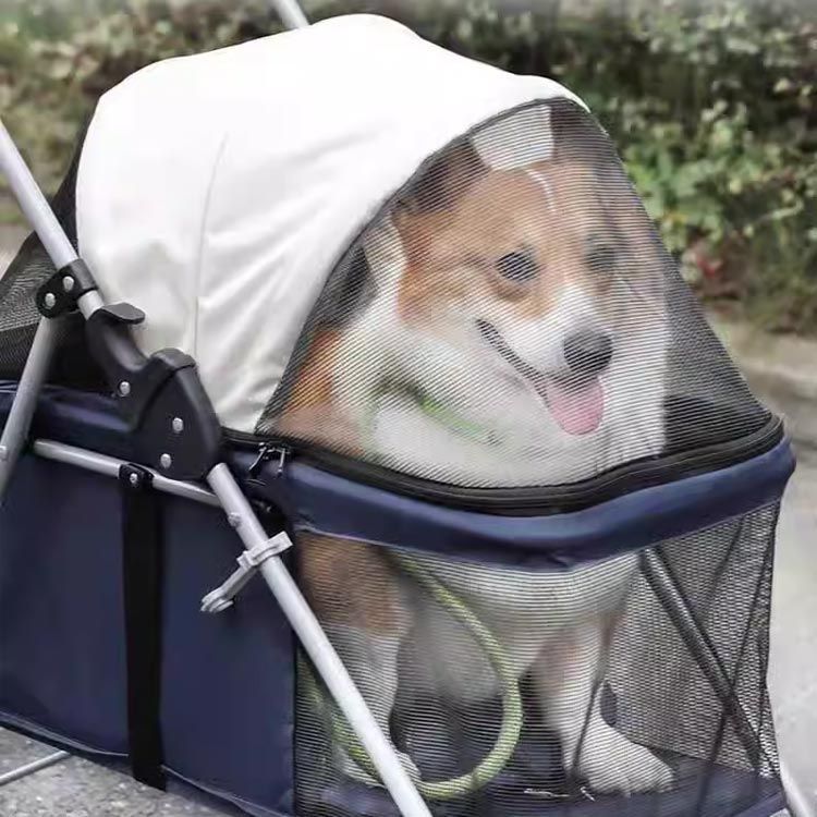 犬用