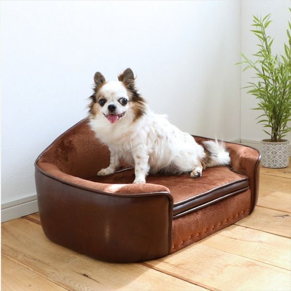 ペット用ベッド ソファ 犬用 猫用 PEPE （ ペペ ） BR ブラウン 組立品【代引不可】