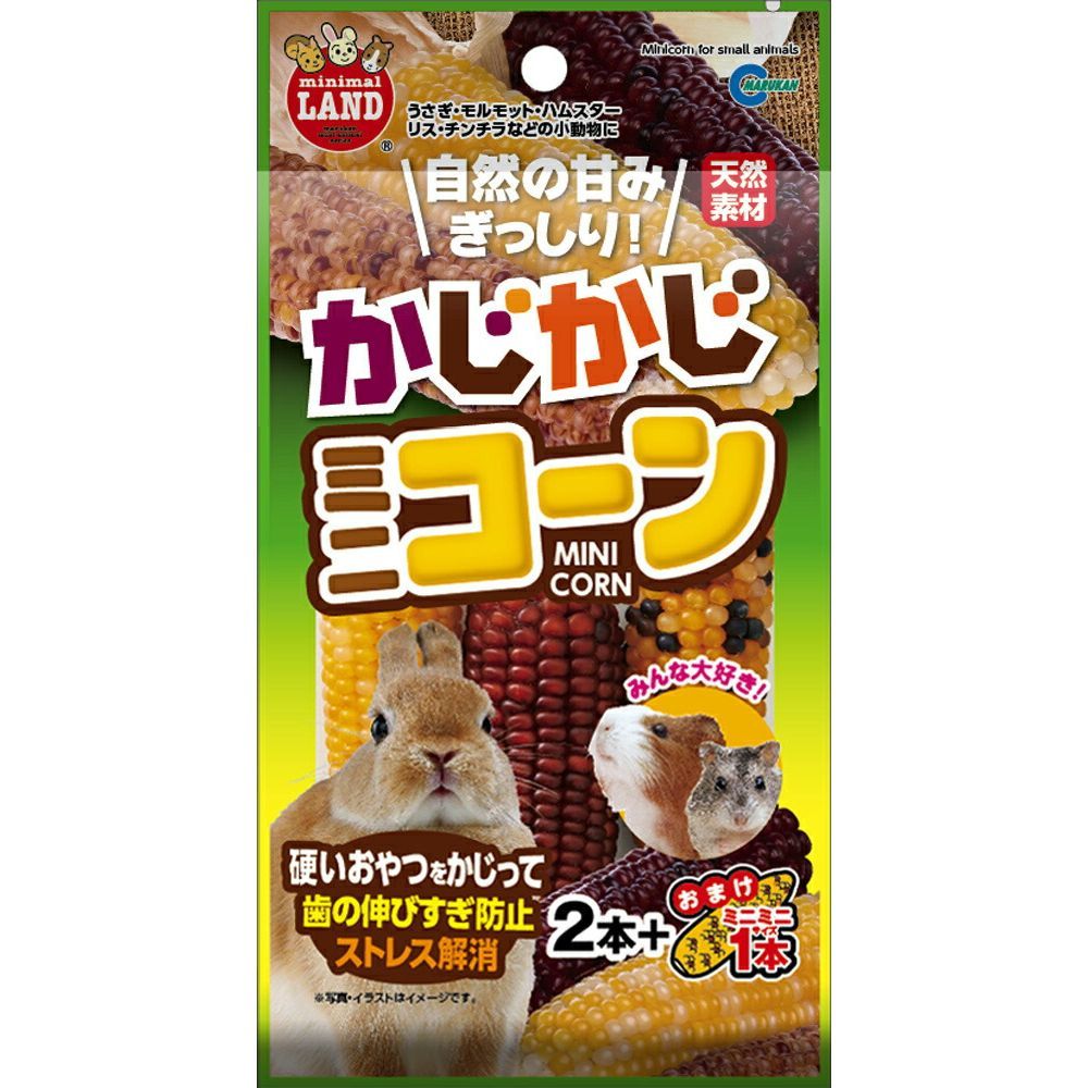 DVD 為替 FX DVD教材 マネックス証券 清水洋介