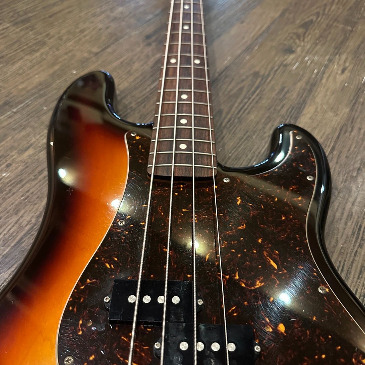Elrick Expat eVolution 5-String ベース　5弦 Elrick Expat eVolution 5-String ベース 5弦 Elrick Expat